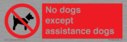 no-dogs-except-assistance-dogs~